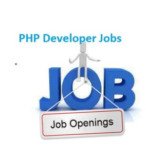 php developer hiring in sara technologies noida